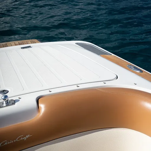Why cabo san lucas whale watching tours matter to yacht owners and crews