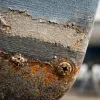 Antifouling, done properly: preparation, primers and the layers that actually protect a hull