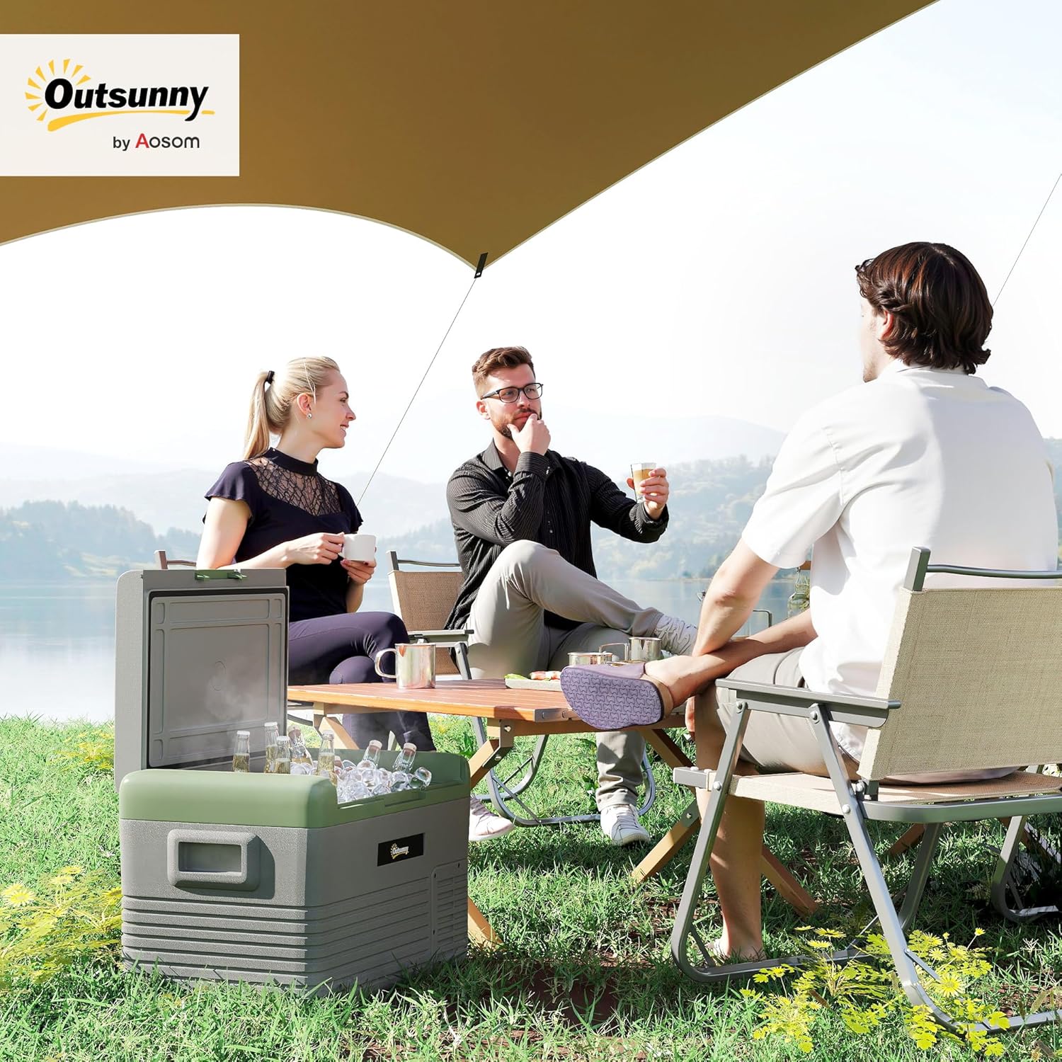 30L Car Refrigerator, Portable Compressor Car Fridge Freezer, Electric Cooler Box with 12/24V DC and 110-240V AC for Camping, Driving, Picnic, Down to -20℃, Light Green and Grey 30L Light Green and Grey