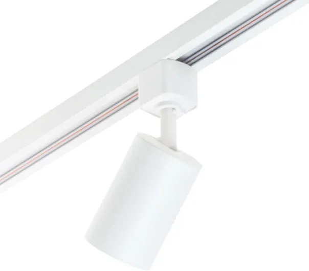41cM1uSBl5L._AC_SL1000_