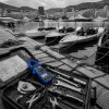 What the student boats in Monaco harbour mean for your next contract: notes from the Energy Boat Challenge
